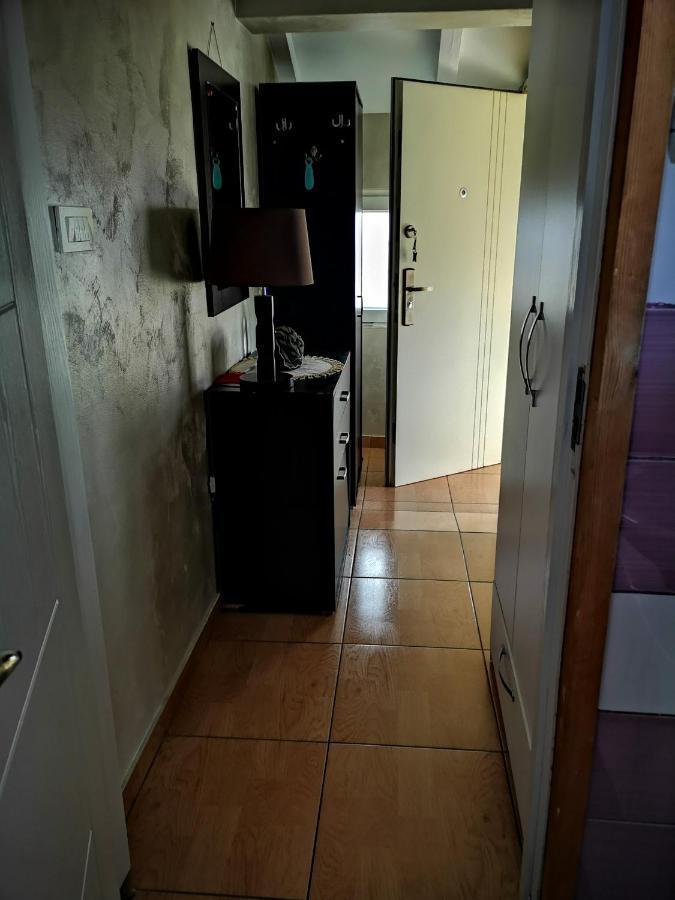 Apartman Sunny Apartment Cetinje Bagian luar foto