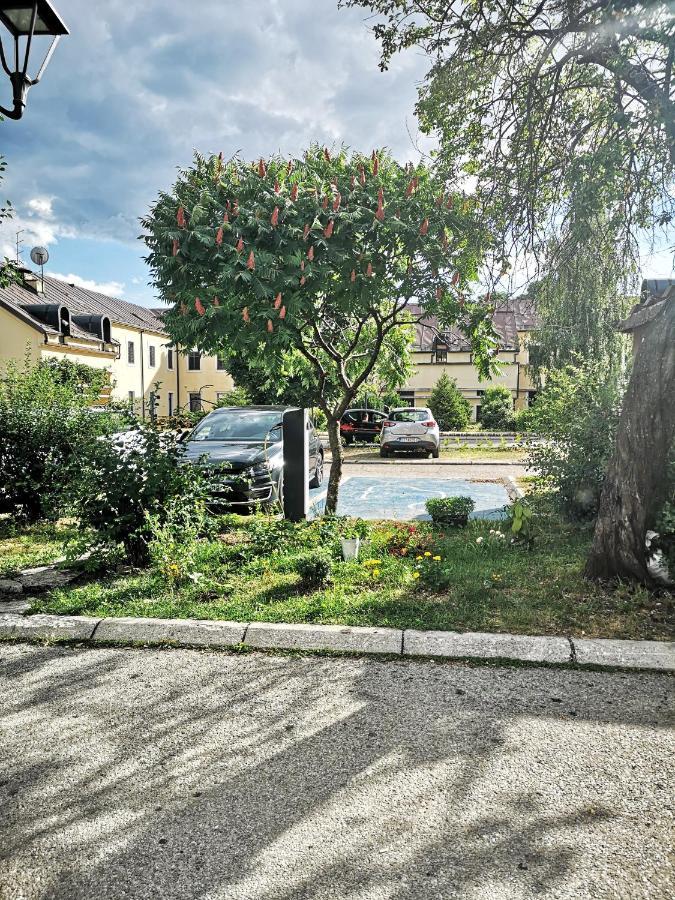 Apartman Sunny Apartment Cetinje Bagian luar foto