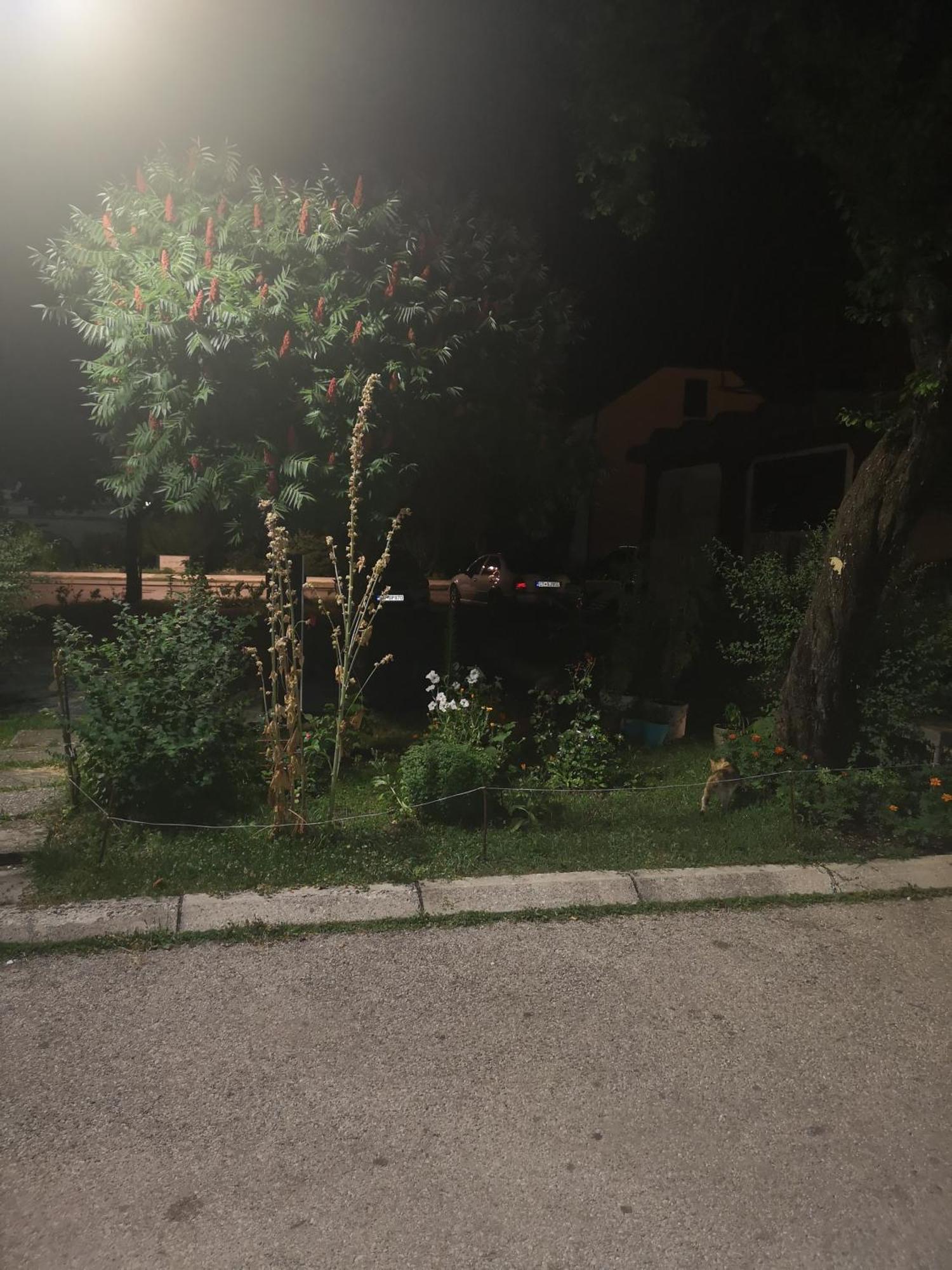 Apartman Sunny Apartment Cetinje Bagian luar foto