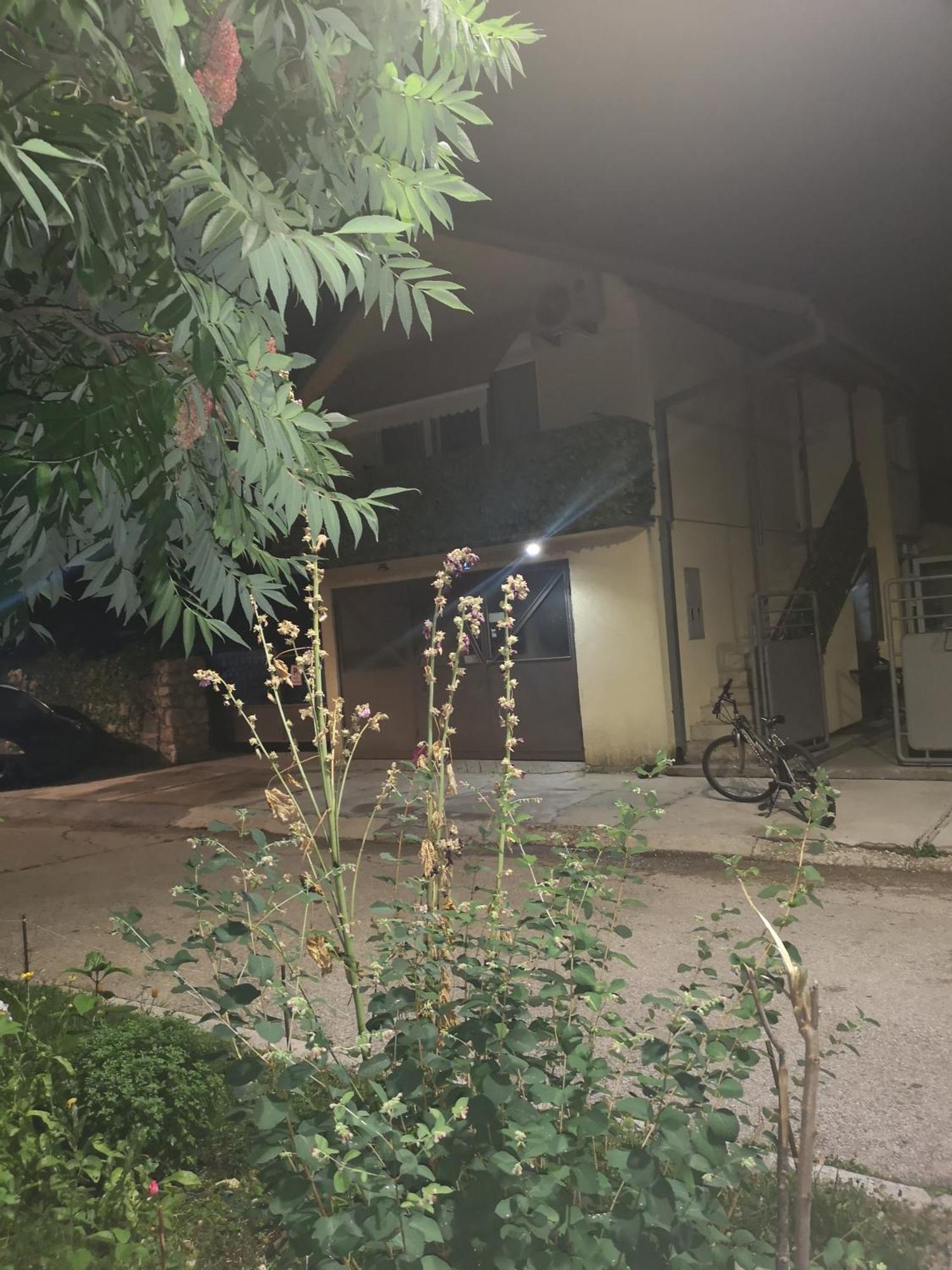 Apartman Sunny Apartment Cetinje Bagian luar foto